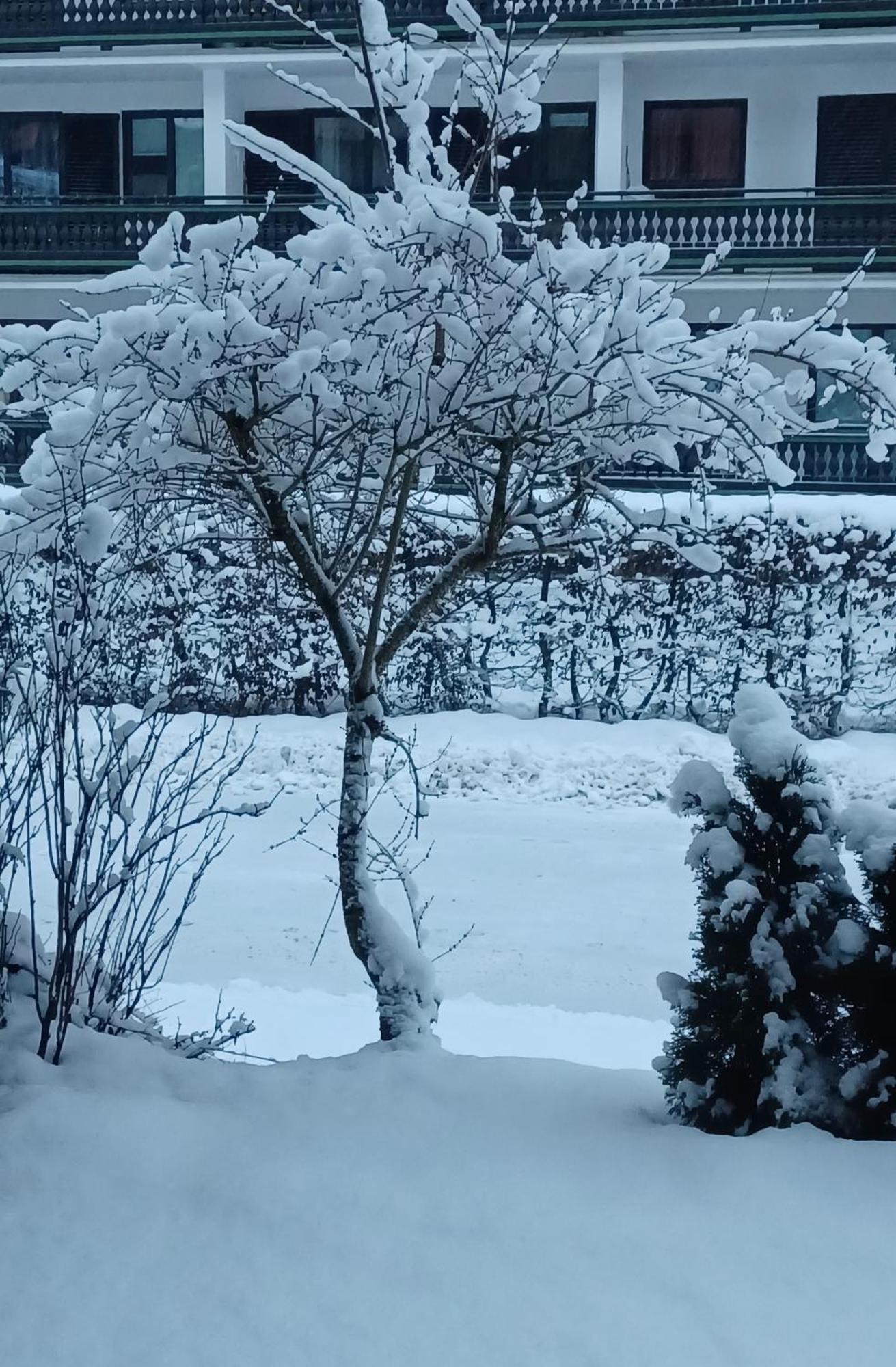 Apartment Somski *